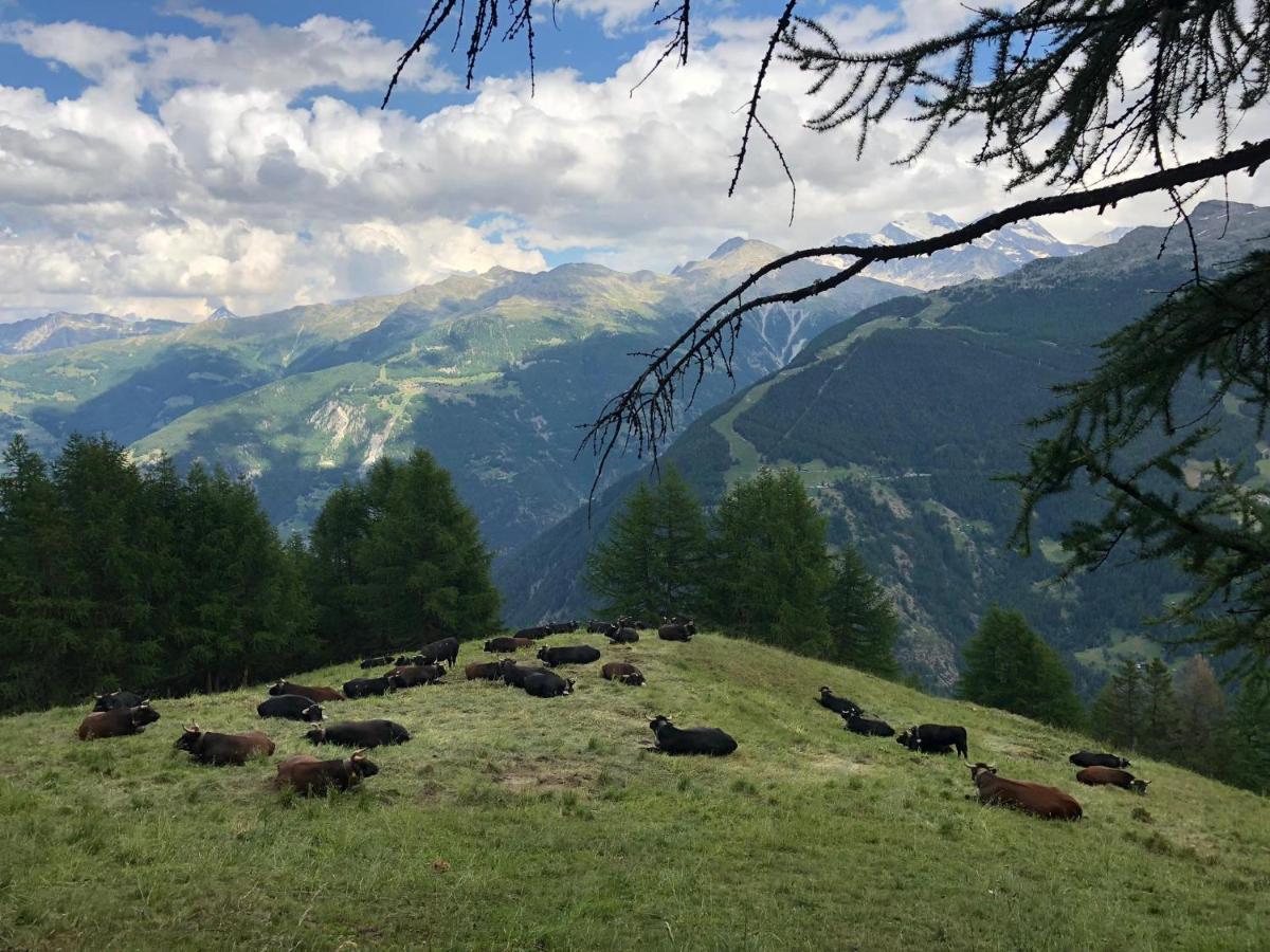 Bergbeiz Morgenrot B&B Embd Bagian luar foto
